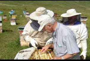 Posof`ta arı ırkını TEMA Vakfı saflaştırdı