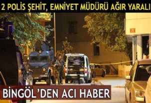 Bingöl Emniyet Müdürü ve ekibine  saldıran 4 provokatör ölü olarak ele geçirildi