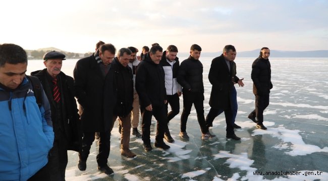 Demir: 